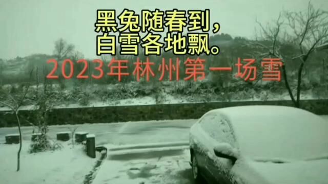 #一场大雪 #赏雪