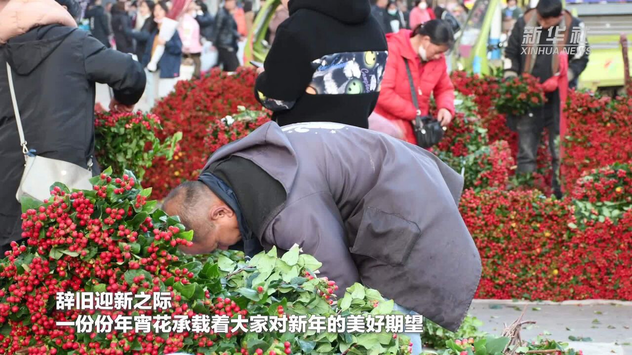 昆明:年宵花供销两旺 物流助力鲜花鲜达