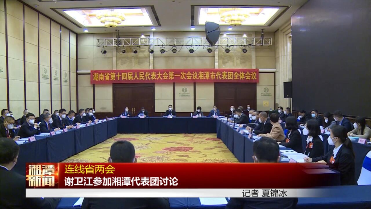 连线省两会丨谢卫江参加湘潭代表团讨论