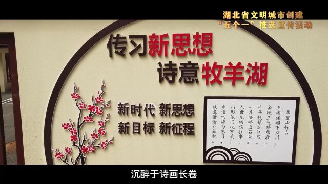 湖北省文明城市创建“五个一”推选宣传|第三期