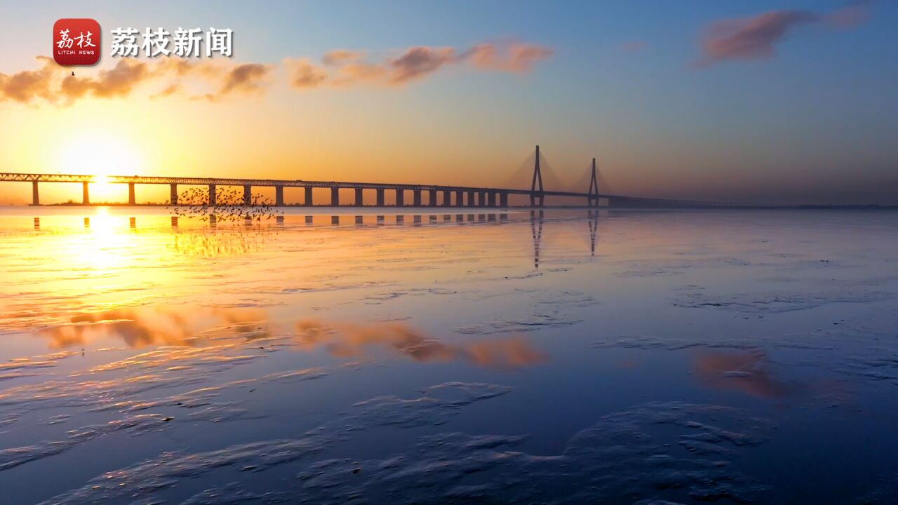 落霞与群鸟齐飞!南通开沙岛群鸟起舞映晚霞