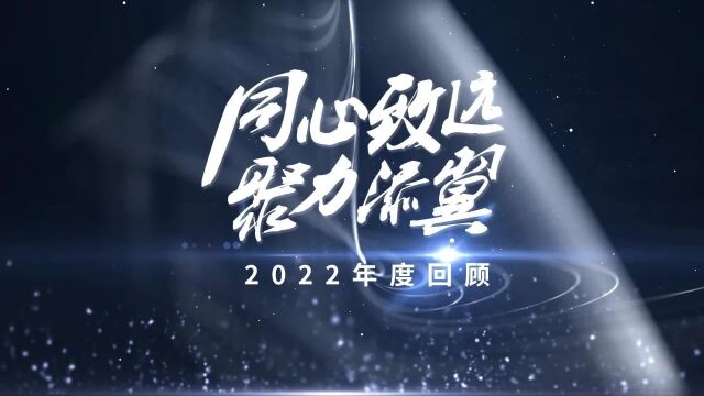 联医汇集团正中脊连锁医疗2022年终总结