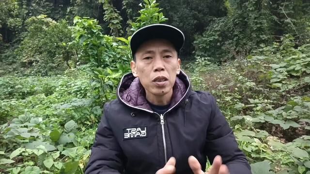 越冬期蜂箱门口地上,为什么会有大量死蜂?4个原因不必大惊小怪 #知识分享 #中蜂养殖 #生态农业 #蜜蜂养殖技术 #农技推广