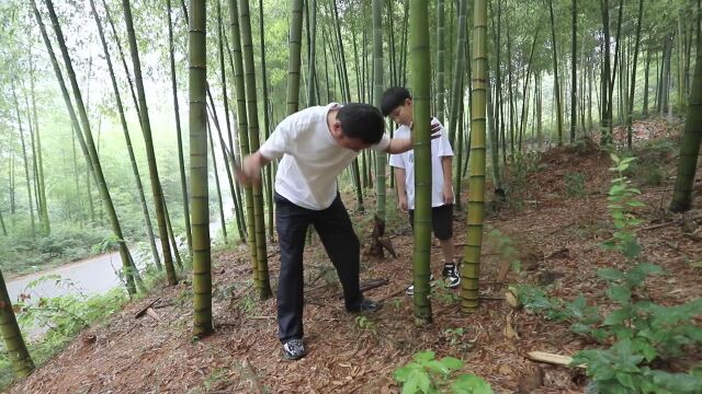 来源:微戴埠 : 戴埠镇微视频《竹器》在中纪委网站刊播