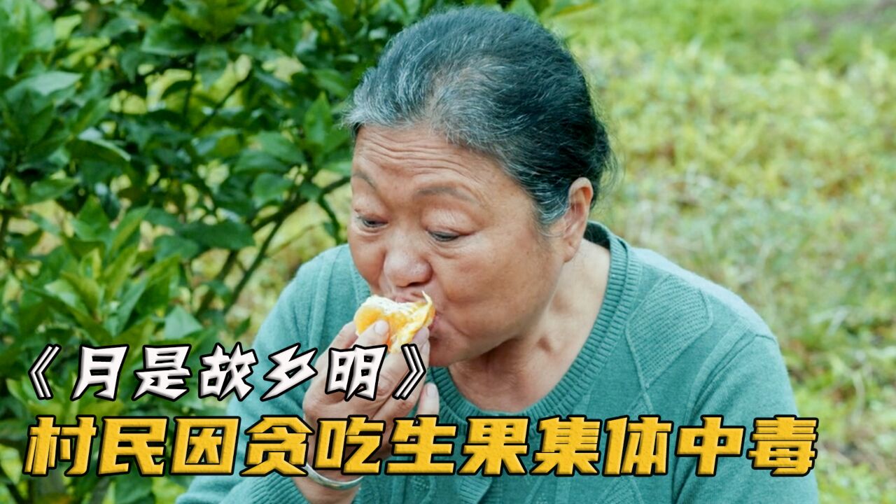 村民舍不得扔疏下来的生果,竟偷偷把它当饭吃,结果集体食物中毒