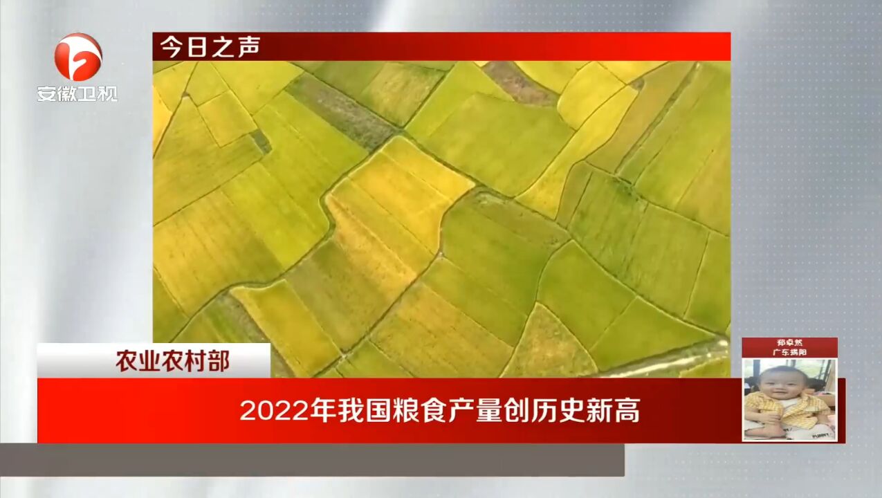 农业农村部:2022年我国粮食产量创历史新高