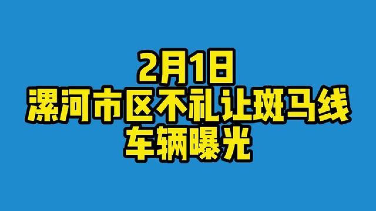 2月1日,漯河市区不礼让斑马线车辆曝光!