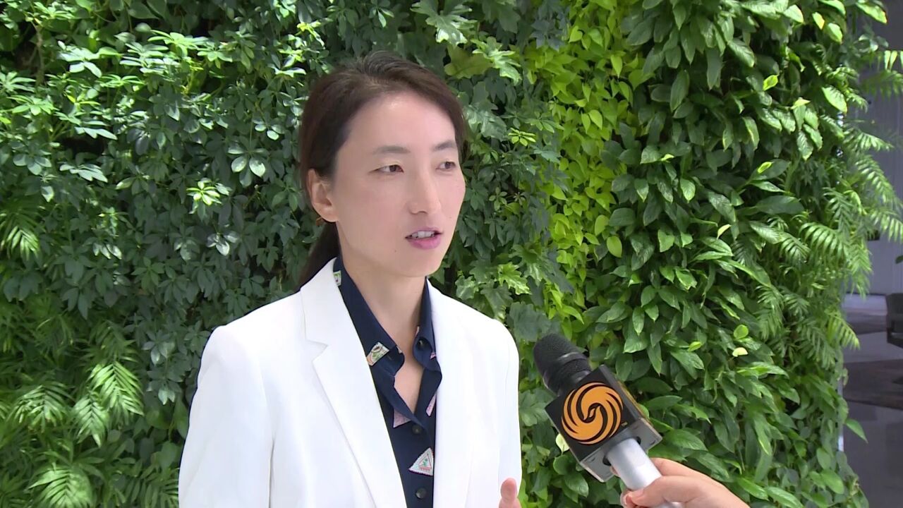 恒生银行中国首席经济学家王丹:中美息差短期难缩窄