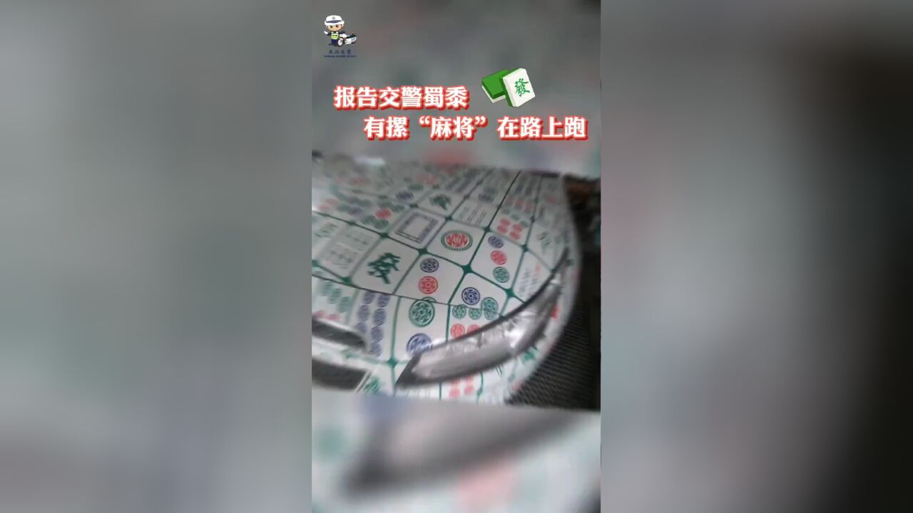 武汉麻将车上路被查,罚款200元.,,建议也查查,~耿