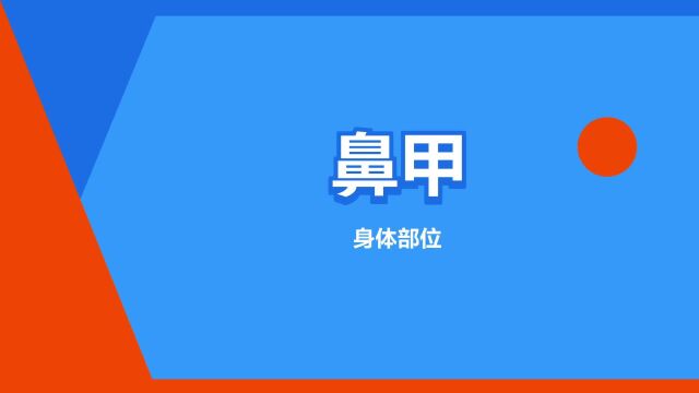 “鼻甲”是什么意思?