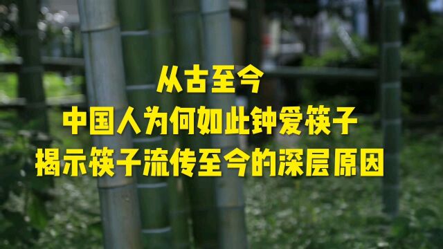 揭秘中国人为什么坚持使用筷子:从古至今,中国人为何如此钟爱筷子?揭示筷子流传至今的深层原因