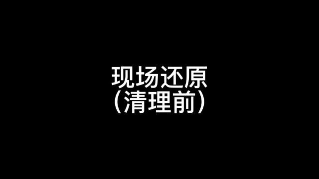 早安,开封!(最新停电通知丨河南两地发布最新人事任免丨就在本周末!本世纪仅有6次!)