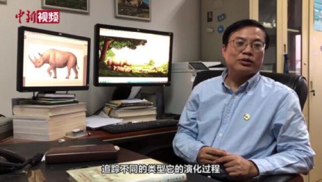 中国科学家研究发现:非洲黑犀和伊朗犀起源于甘肃临夏盆地