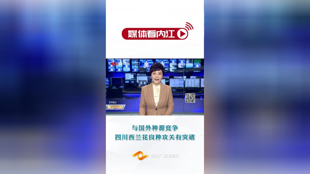 媒体看内江 | 与国外种源竞争 四川西兰花良种攻关有突破