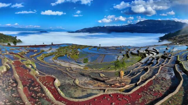 云上观会 | 精耕文旅资源 打造红河文旅新业态