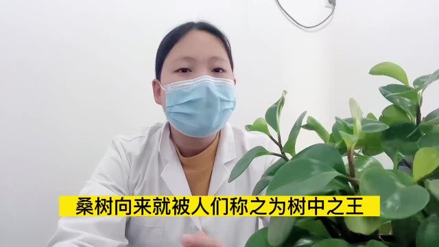 被称为“神仙叶”的它,不仅有利于改善“三高”,还能呵护血管