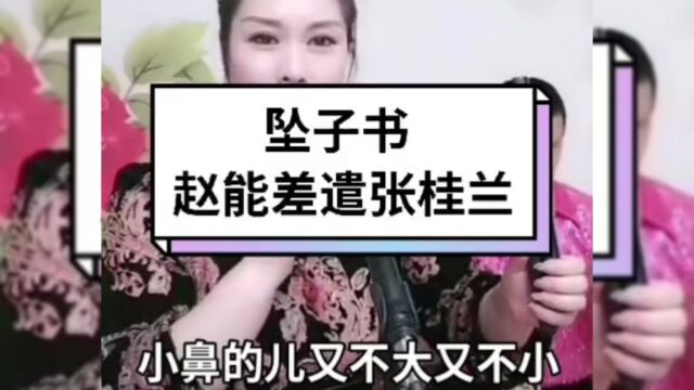 河南坠子《赵能差遣张桂兰》