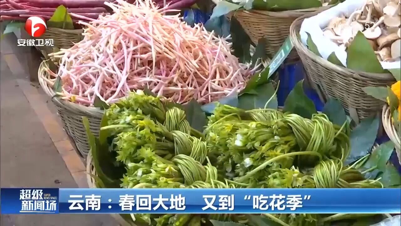 云南:又到“吃花季”,跟着镜头打卡菜市场