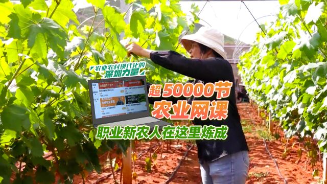 超50000节农业网课 职业新农人在这里炼成|农业农村现代化的深圳力量