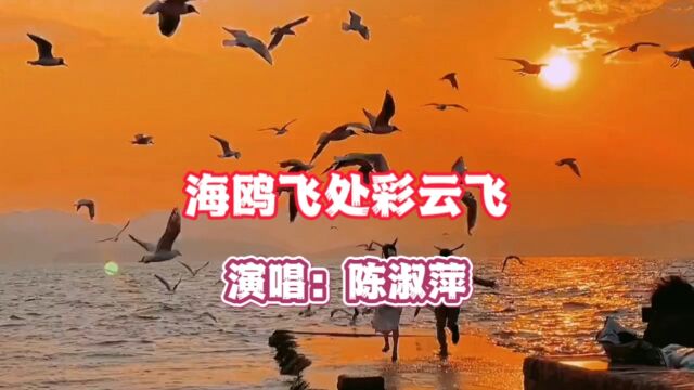 陈淑萍演唱的歌曲《海鸥飞处彩云飞》,请欣赏