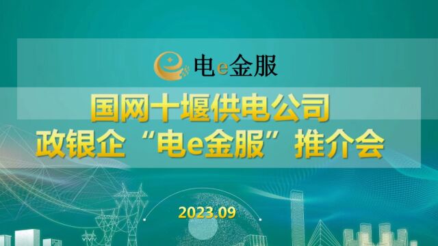 国网十堰供电公司政银企“电e金服”推介会