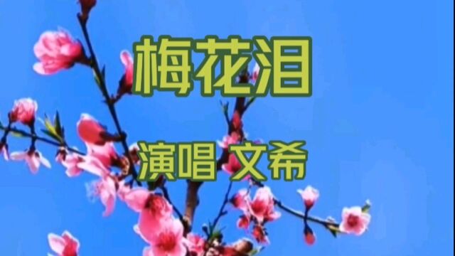 感人至深的歌声 听哭了多少人 梅花泪 演唱 文希