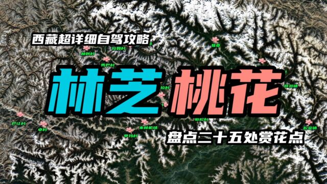 林芝到底该去哪里赏花?全网超详细25处赏花秘境地,你一定用得上