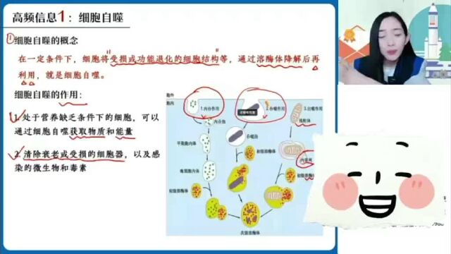 2023高三高中杨雪生物老师网资料笔记