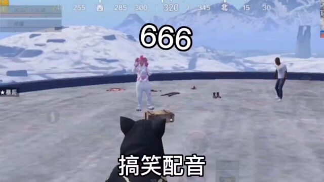 《关于小黑猫上水泥厂这件事》