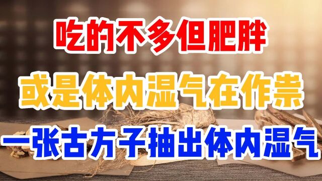 吃的不多但肥胖,或是体内湿气在作祟!一张古方子,抽出体内湿气