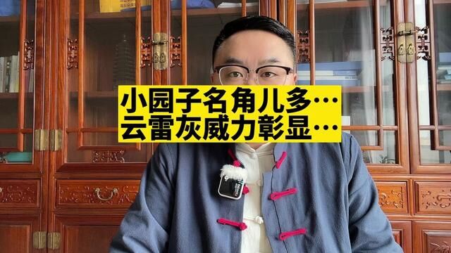 小园子名角儿越来越多…“云雷灰”威力彰显!#德云社相声 #德云社小园子 #张云雷 #小辫儿张云雷 #丰昌说书