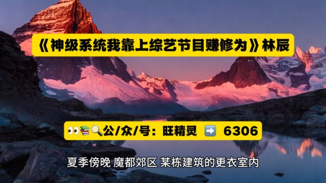 《神级系统我靠上综艺节目赚修为》林辰全文在线阅读◇无删减