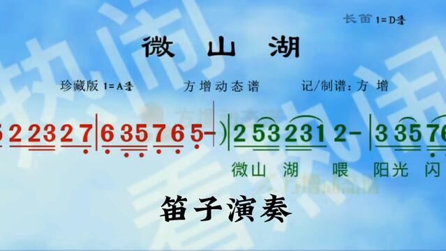 微山湖#动态曲谱 #竹笛演奏