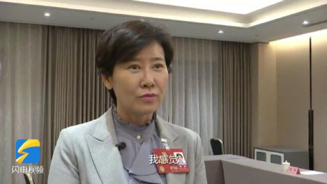 住鲁全国政协委员杨丽:推动民营经济高质量发展 为助力实现中国式现代化贡献力量