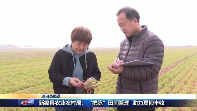 新绛县农业农村局:“把脉”田间管理 助力夏粮丰收