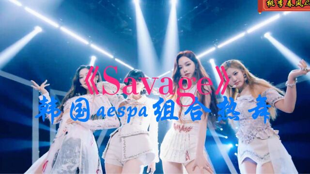 《Savage》韩国aespa组合热舞