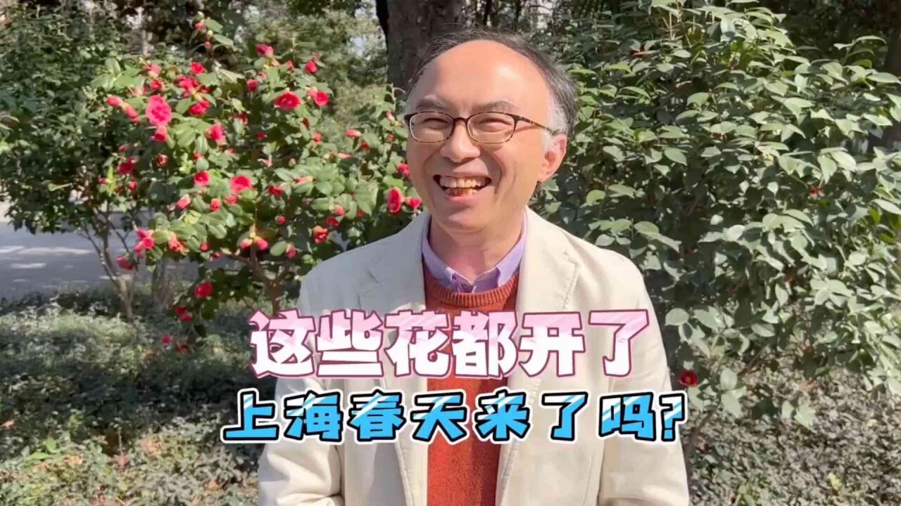 邬博士的春天小秘密