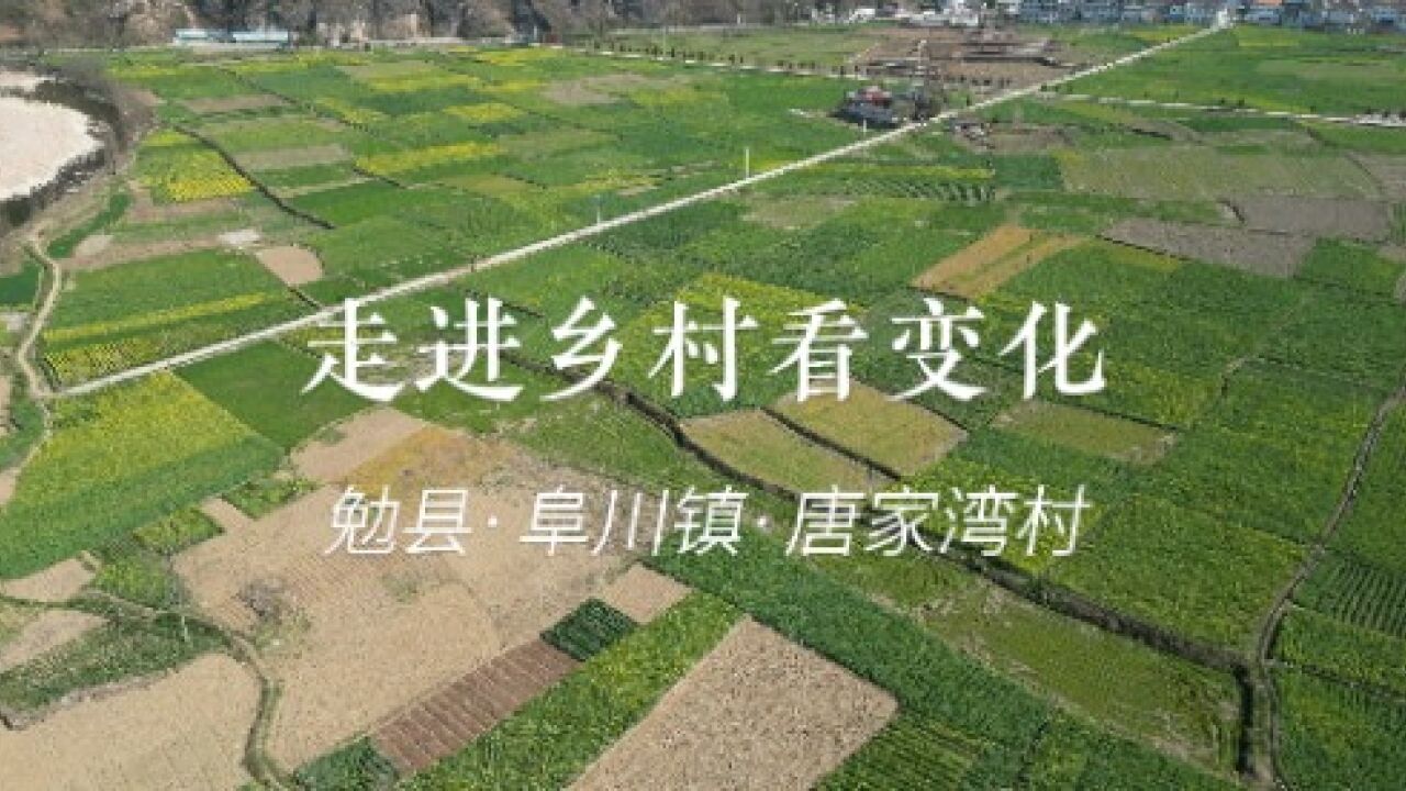 【走进乡村看变化】路灯亮了,村子美了,住在这里很幸福!