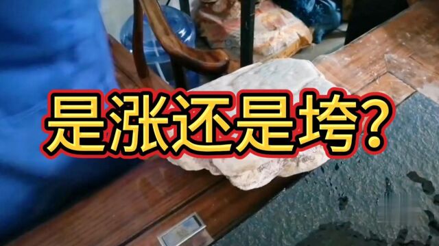 翡翠原石实战现场:切到绿色带了,却切垮了,为啥呢?