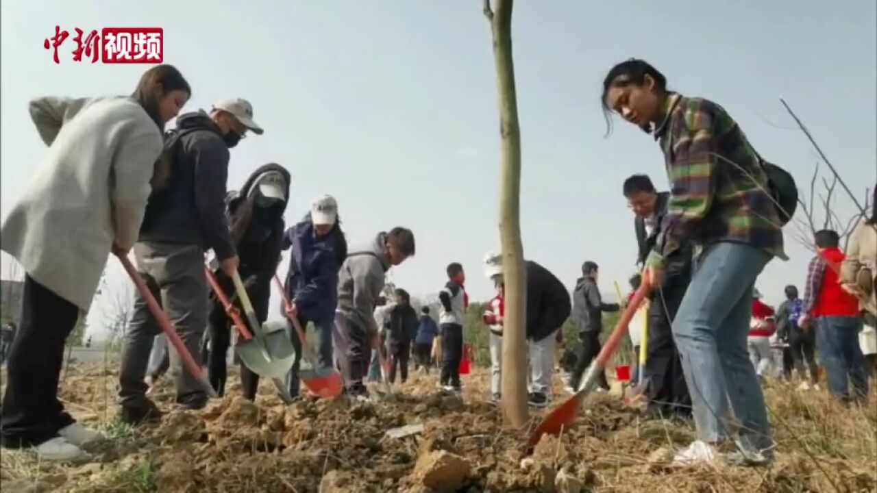 皖台青年共植友谊之树