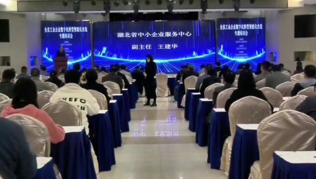 湖北省2023年首场县域企业数转智改专题培训会