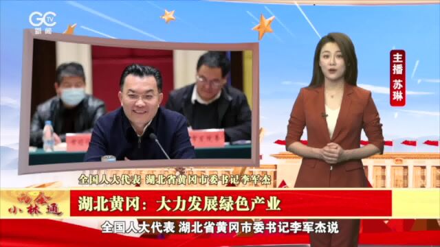 李军杰代表:大力发展绿色产业