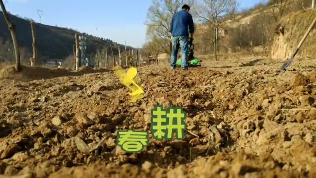 平凉宏鑫园林公司抢抓晴好天气忙校园绿化养护