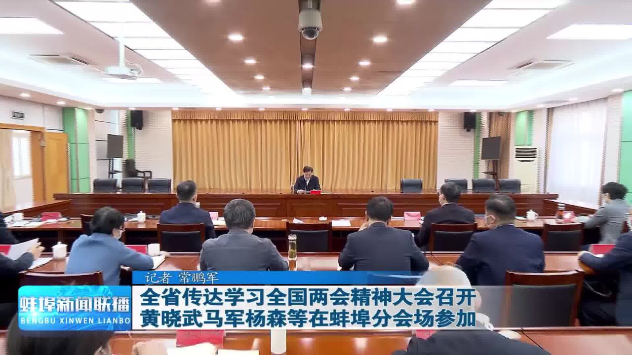 全省传达学习全国两会精神大会召开 黄晓武马军杨森等在蚌埠分会场参加