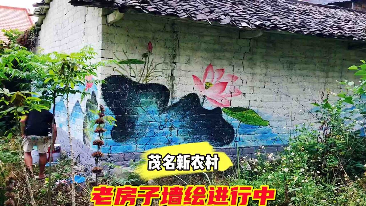 从大城市深圳回老家茂名,今天继续在农村画画,记录真实的一天