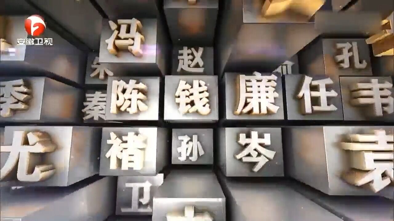 百家姓杜姓专场,明星战队颜值高,杜薇出场太惊艳了|百家姓