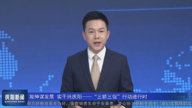 庆阳:落实“三抓三促” 推动经济社会高质量发展