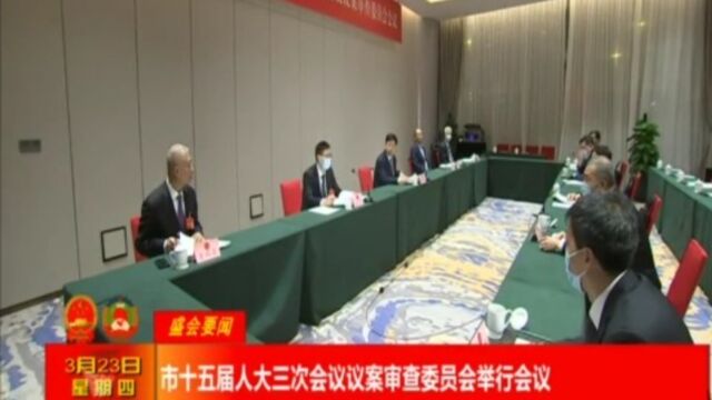 市十五届人大三次会议议案审查委员会举行会议