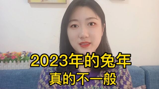 2023年的兔年真的不一般