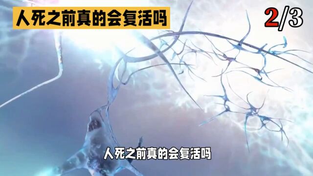 人死之前真的会复活吗?案例解析(中)